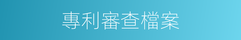 專利審查檔案的同義詞