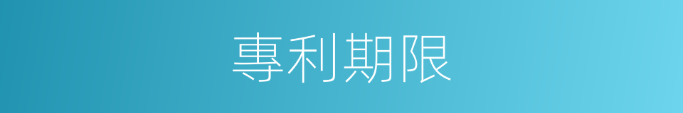 專利期限的同義詞