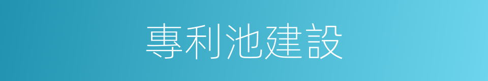 專利池建設的同義詞