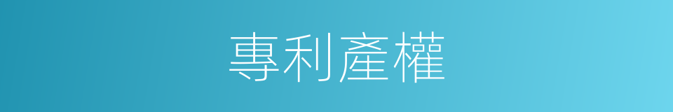 專利產權的同義詞