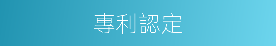 專利認定的同義詞