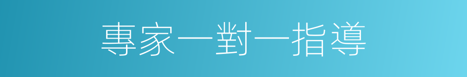專家一對一指導的同義詞