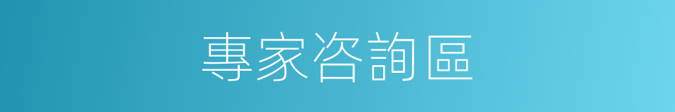 專家咨詢區的同義詞