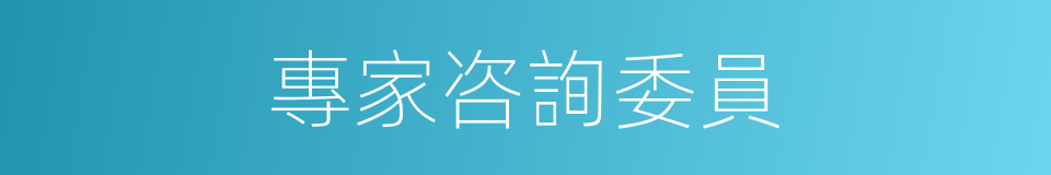 專家咨詢委員的同義詞