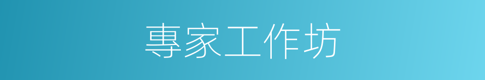 專家工作坊的同義詞