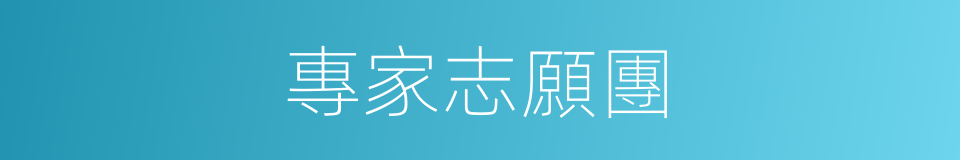 專家志願團的同義詞