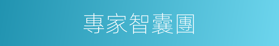 專家智囊團的同義詞