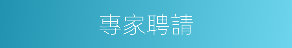 專家聘請的同義詞