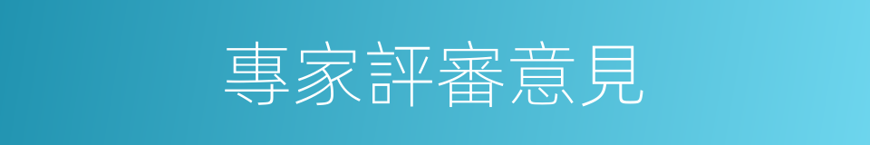 專家評審意見的同義詞