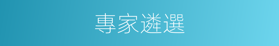 專家遴選的同義詞
