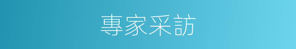 專家采訪的同義詞