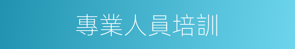 專業人員培訓的同義詞
