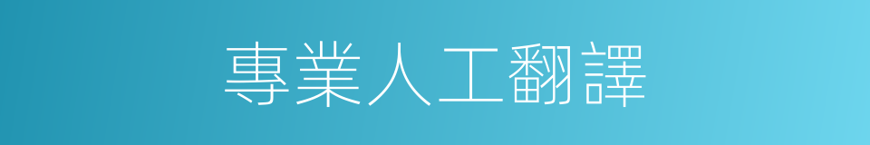 專業人工翻譯的同義詞
