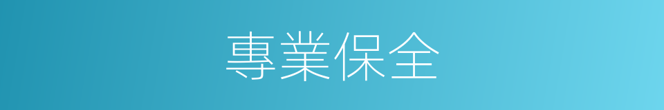 專業保全的同義詞