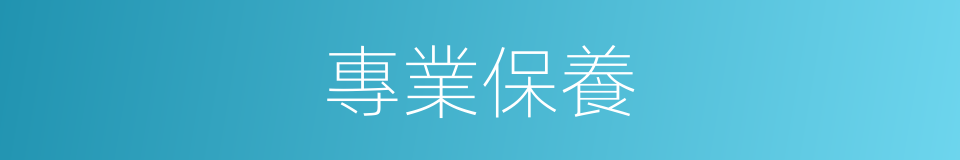 專業保養的同義詞