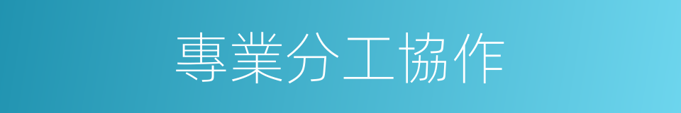 專業分工協作的同義詞