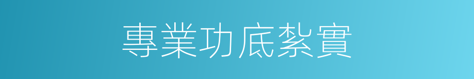 專業功底紮實的同義詞