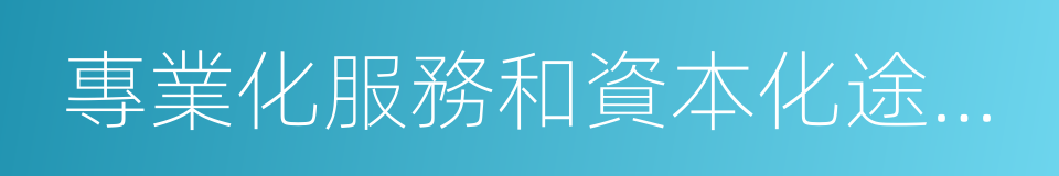 專業化服務和資本化途徑構建的低成本的同義詞