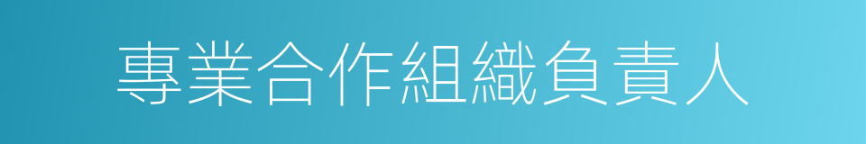 專業合作組織負責人的同義詞