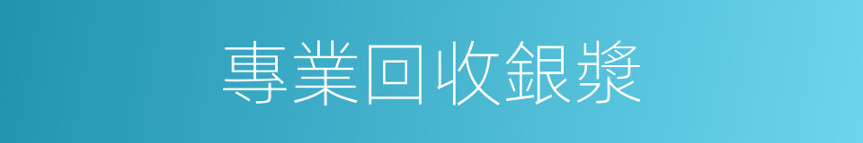 專業回收銀漿的同義詞