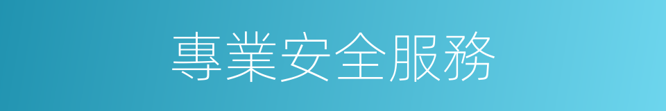 專業安全服務的同義詞