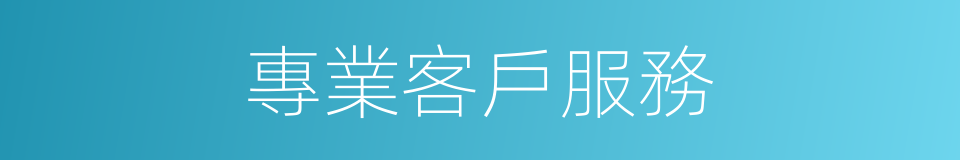 專業客戶服務的同義詞