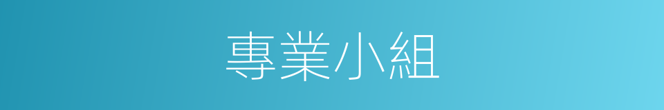 專業小組的同義詞