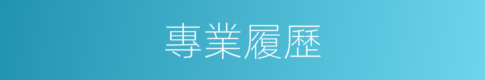專業履歷的同義詞