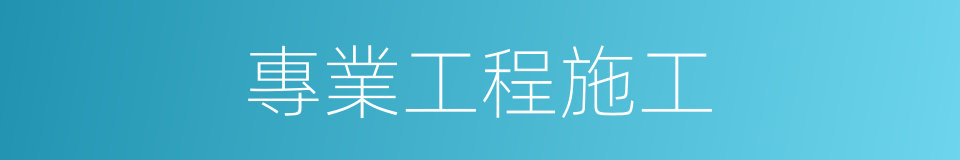 專業工程施工的同義詞