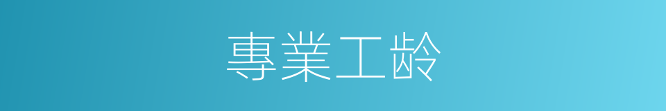 專業工龄的同義詞