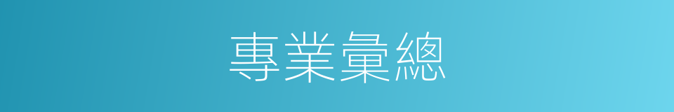專業彙總的同義詞