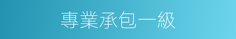 專業承包一級的同義詞