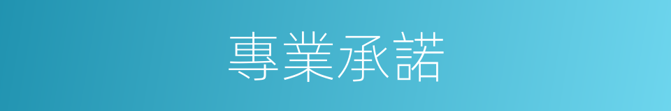 專業承諾的同義詞