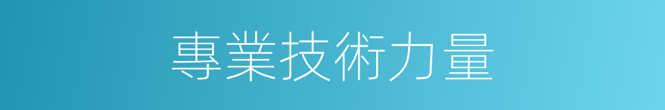專業技術力量的同義詞