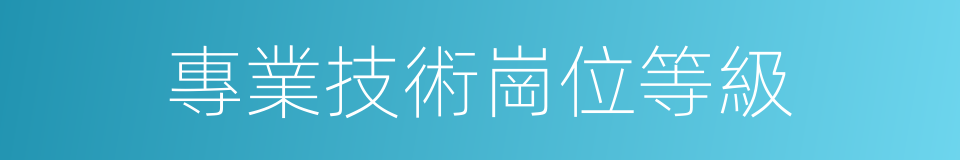 專業技術崗位等級的同義詞