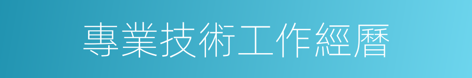 專業技術工作經曆的同義詞