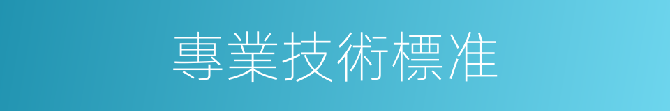 專業技術標准的同義詞