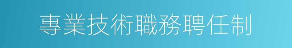 專業技術職務聘任制的同義詞