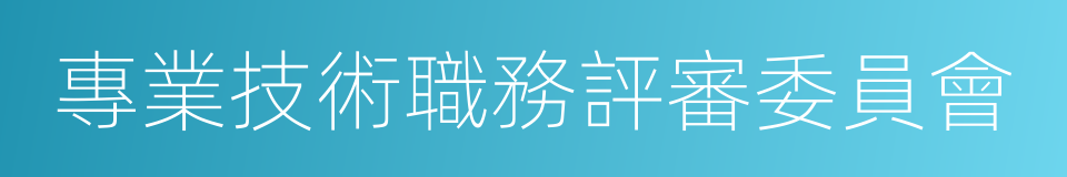 專業技術職務評審委員會的同義詞