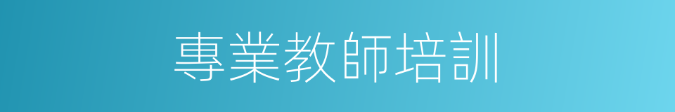 專業教師培訓的同義詞