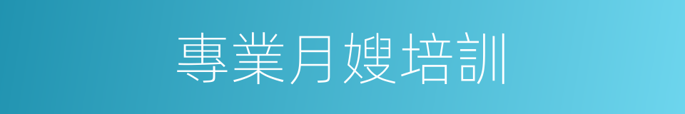 專業月嫂培訓的同義詞