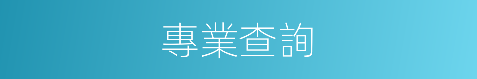 專業查詢的同義詞