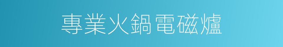 專業火鍋電磁爐的同義詞