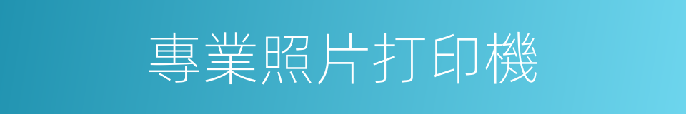 專業照片打印機的同義詞