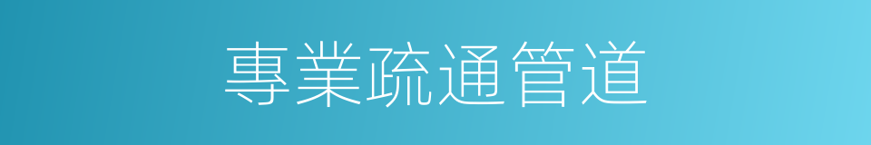專業疏通管道的同義詞