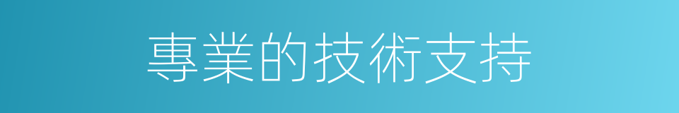 專業的技術支持的同義詞