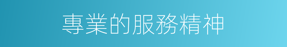 專業的服務精神的同義詞