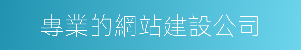 專業的網站建設公司的同義詞