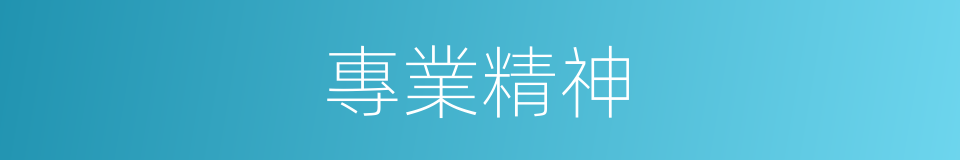 專業精神的同義詞