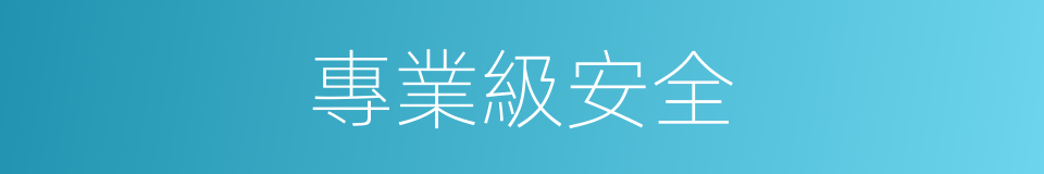 專業級安全的同義詞